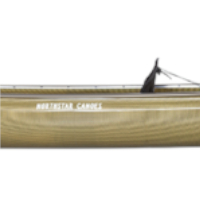 Northwind Solo Blacklight w/wood trim